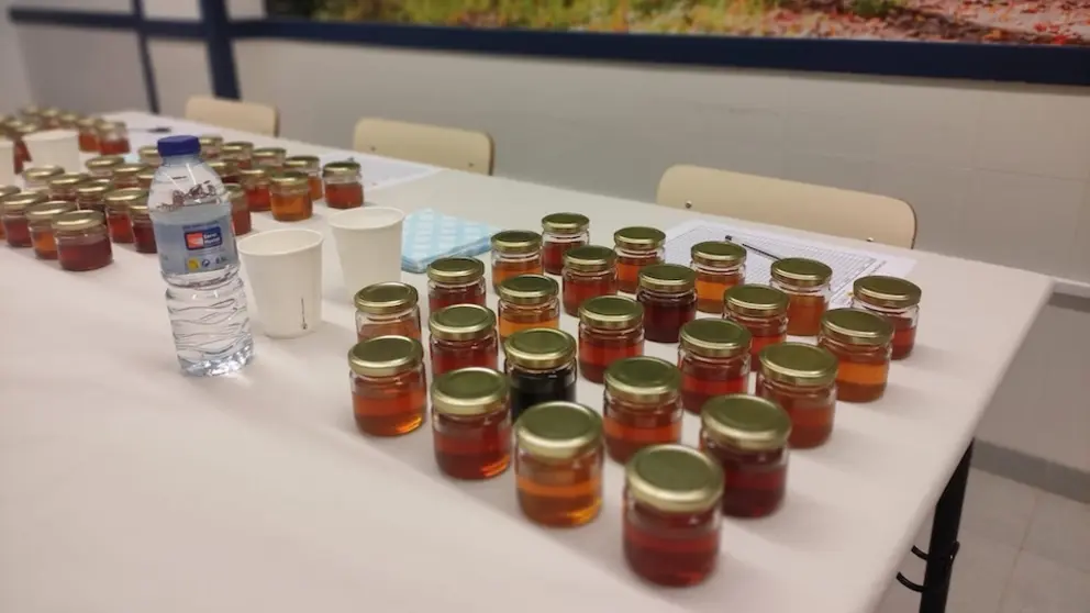 Cata de mel no EFA Fonteboa de Coristanco