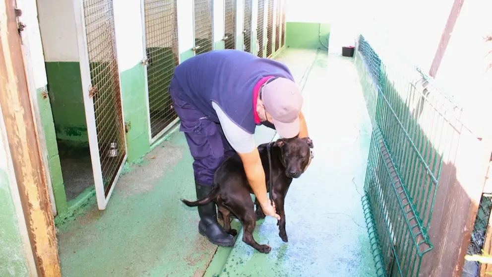 Canceira de Carballo