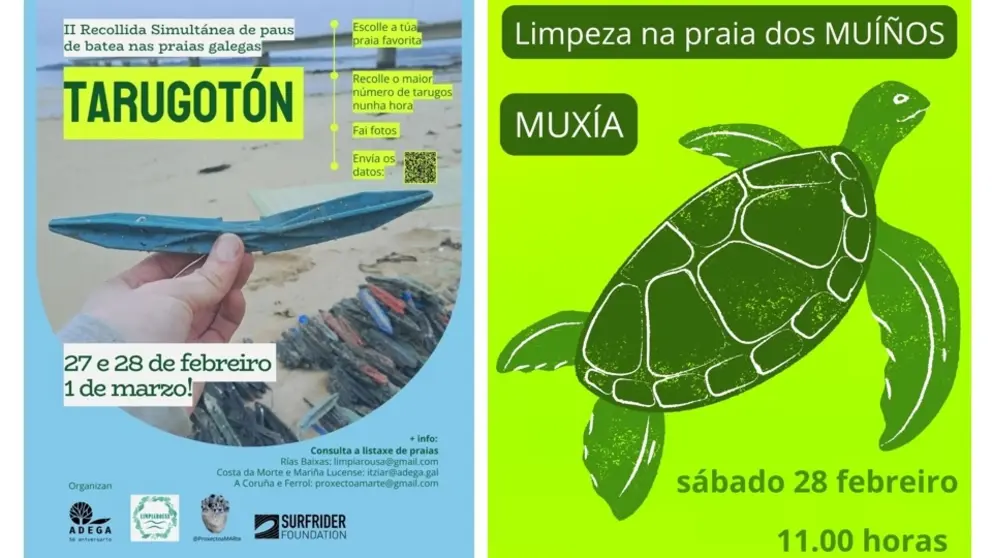 tarugoton-limpeza praia Muinos