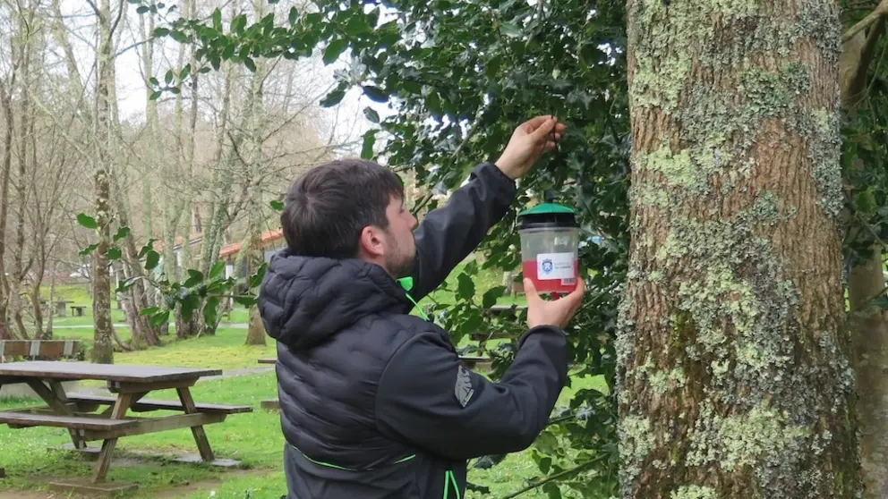 2026.03.06.- Inicio campaña trampeo velutinas. Colocación trampa na área recreativa de Gabenlle-Laracha