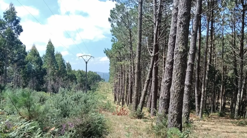 Liña de Alta Tension en Baldomar Muxia