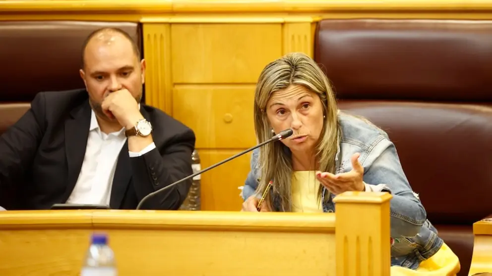 Monica Rodriguez no pleno da Deputacion