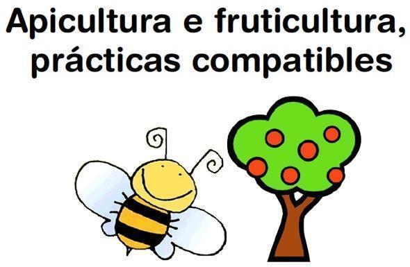 Apicultura debuxo