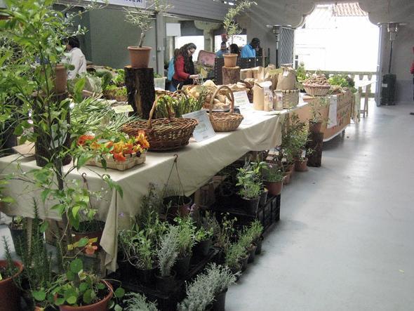 Mercado Activo Muros 04.2011