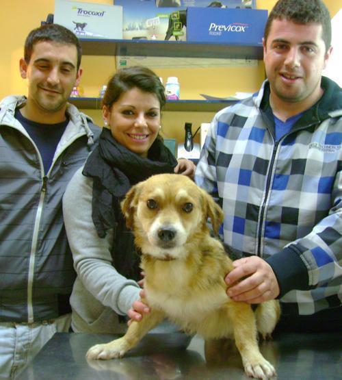 Salvadores en Salvacadelos