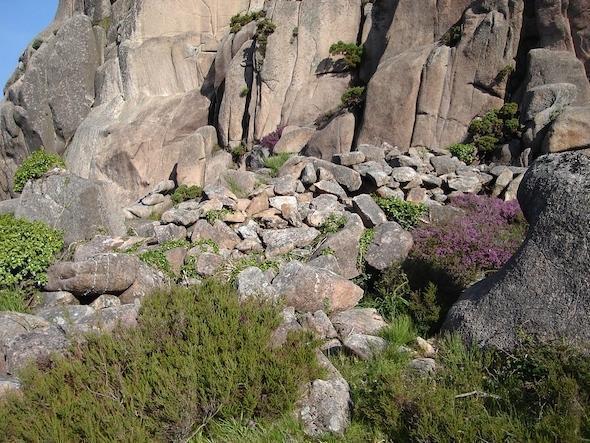 Murallas no Monte Pindo