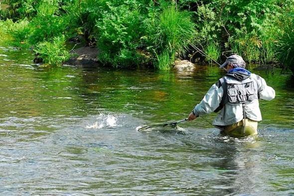 Pesca sen morte no Xallas 1