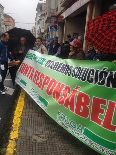 Imaxe da Manifestación da FRUGA contra o fraude forestal en VImianzo - Foto- Susana Alvite