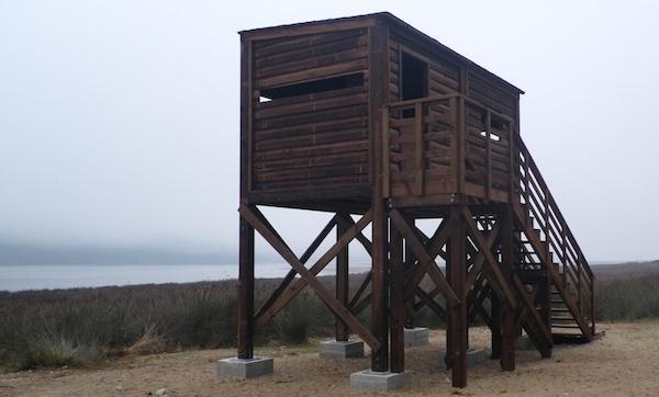Observatorio de Aves de Cabana-Foto-Alex Feba 600 Pincha na imaxe de Alex Feba para ver o Miradoiro de Aves de Cabana en Recunchos da Costa