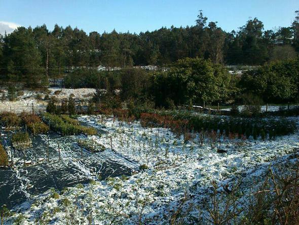 Neve na Serra de Outes en Valadares-Foto-Adisbismur Neve na Serra de Outes en Valadares-Foto-Adisbismur