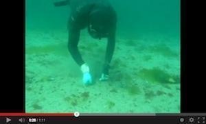 Video dun mergullador de longueiron en apnea Video dun mergullador de longueiron en apnea