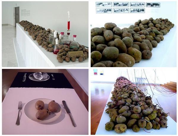 Imaxes da Exposicion de Victor Grippo con Pataca de Coristanco no CGAC-Foto-Certo Imaxes da Exposicion de Victor Grippo con Pataca de Coristanco no CGAC-Foto-Certo