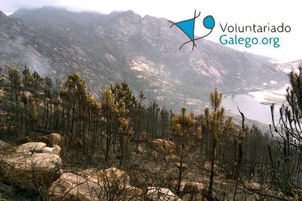 Voluntariado Galego para o Monte Pindo Voluntariado Galego para o Monte Pindo