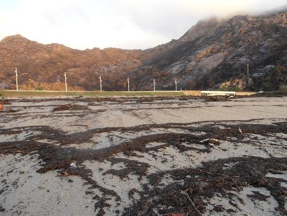 As cinzas do incendio do Monte Pindo xa chegaron a praia do Ezaro-Foto-David Trillo Gallego As cinzas do incendio do Monte Pindo xa chegaron a praia do Ezaro-Foto-David Trillo Gallego