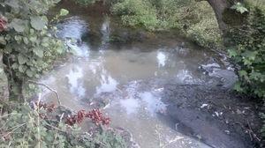 Imaxe dun dos verquidos no rio Anllons do ano pasado Imaxe dun dos verquidos no rio Anllons do ano pasado