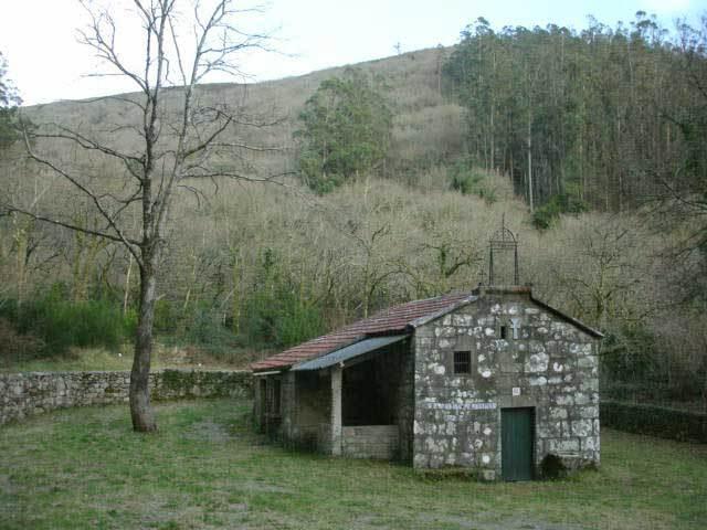 Devesa arredor da Capela de Santa Leocadia antes da tala Devesa arredor da Capela de Santa Leocadia antes da tala