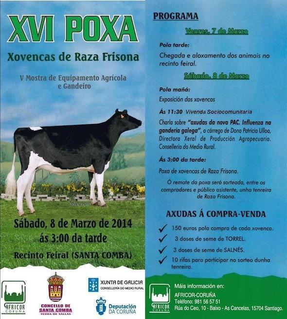 Poxa Santa Comba Poxa Santa Comba