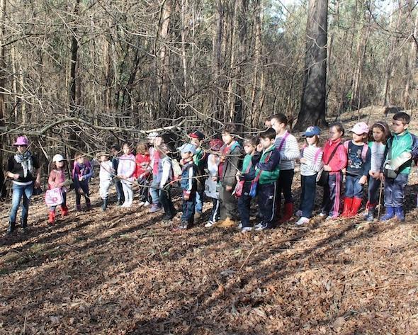 Pequenos carballeses na fraga de Ribeira de Pena con Senda Nova Pequenos carballeses na fraga de Ribeira de Pena con Senda Nova