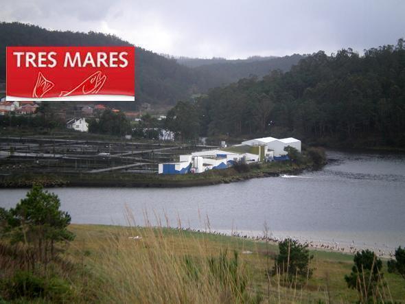 A-piscifatoria-de-Lires-de-Tres-Mares-pode-pechar A-piscifatoria-de-Lires-de-Tres-Mares-pode-pechar