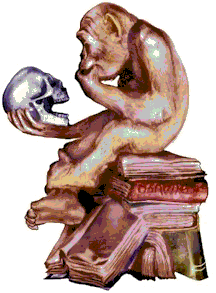 darwin-chimp