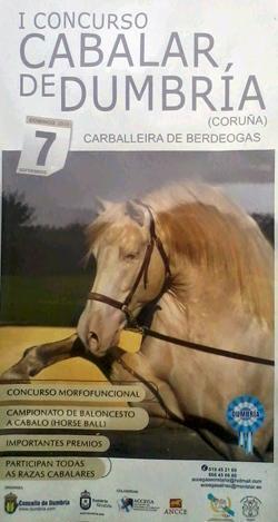I Concurso Cabalar de Dumbria I Concurso Cabalar de Dumbria