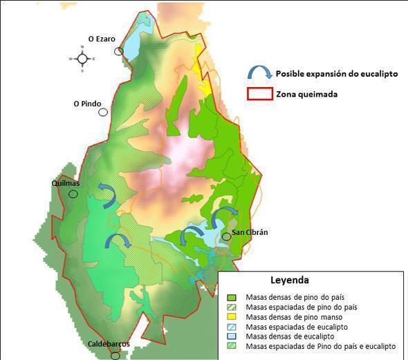 Mapa de distribucion de especies predominantes na zona ardida do Monte Pindo segundo o 3 Inventario Forestal Nacional Mapa de distribucion de especies predominantes na zona ardida do Monte Pindo segundo o 3 Inventario Forestal Nacional