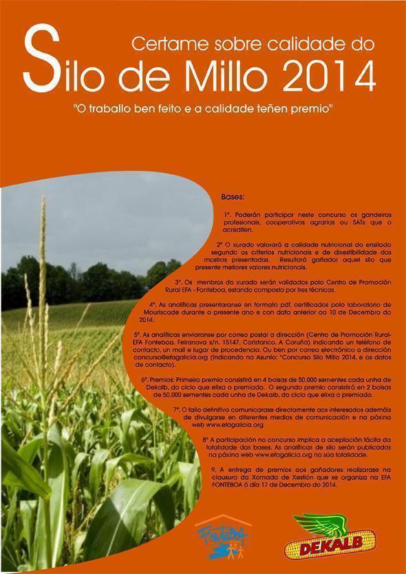 certame-silo-millo certame-silo-millo