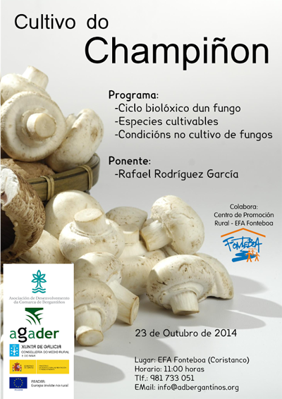 Cultivo de Champinon no EFA