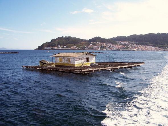 Batea en Muros-Foto-Quin Caamano Batea en Muros-Foto-Quin Caamano