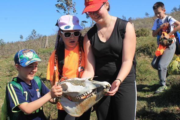 Trofeos naturais na Andaina con Senda Nova Trofeos naturais na Andaina con Senda Nova