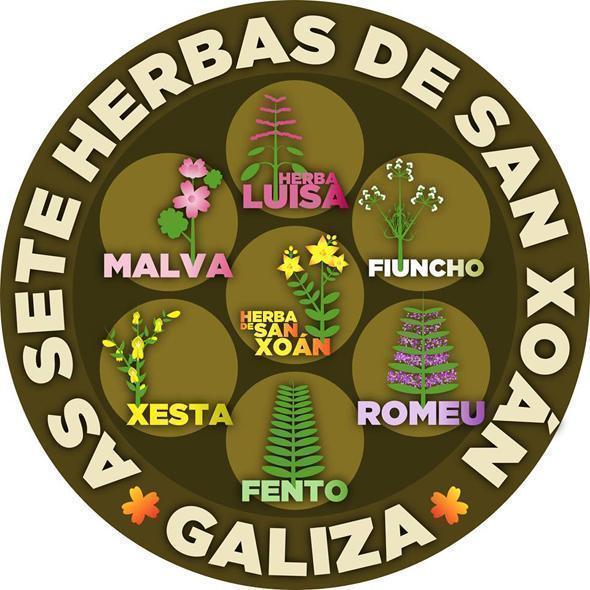 As 7 herbas de San Xoan-Fonte-Mario Maceiras As 7 herbas de San Xoan-Fonte-Mario Maceiras