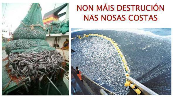 Non mais destrucion nas nosas rias Non mais destrucion nas nosas rias