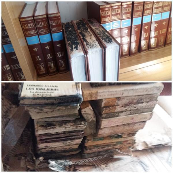 Libros que apodrecen en Fisterra Libros que apodrecen en Fisterra