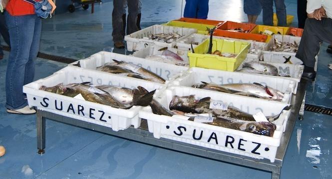 As caixas das lonxas de Fisterra saen caras