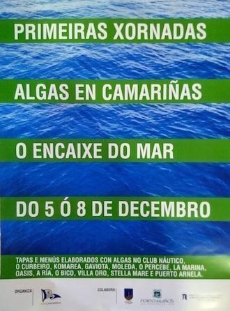 I XOrnadas Algas en Camarinas Encaixe do mar
