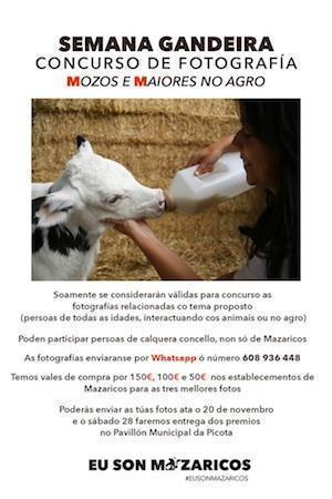 Semana-Gandeira-concurso-Fotografia
