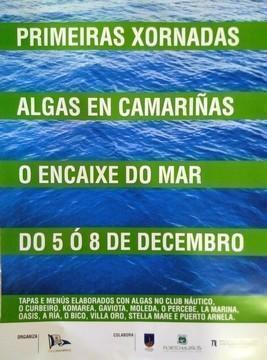 Xornadas de Algas en Camarinas