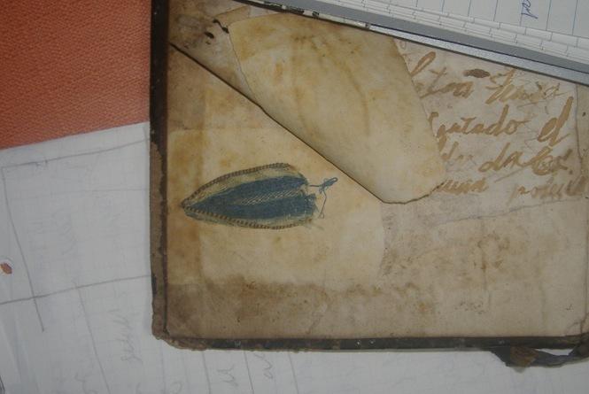 Pequena peza de encaixe azul atopada nun libro de 1622