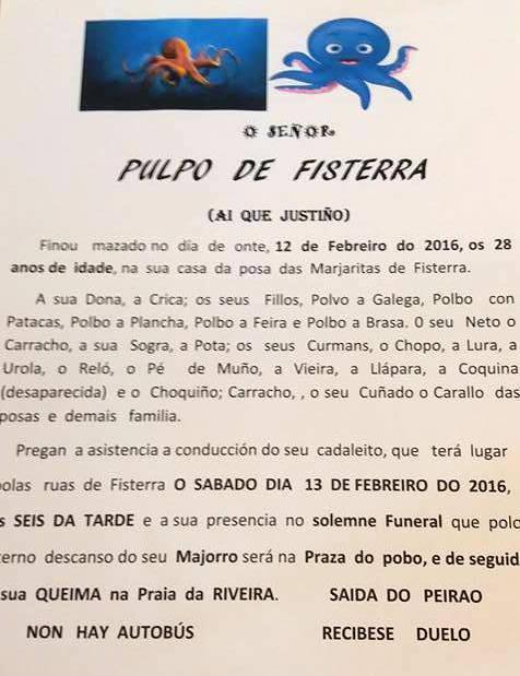 Pulpo de FIsterra 2016