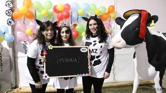 Un Entruido gandeiro en Mazaricos-Foto-Numenius