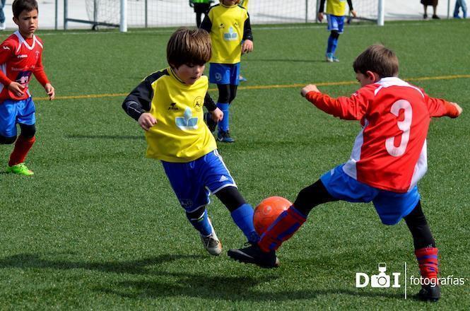 Imaxe do I Torneo F-8 Concello de Malpica