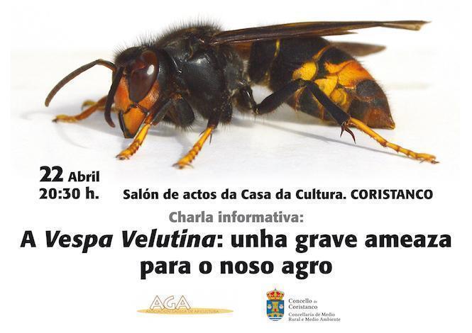 charla avespa velutina Coristanco