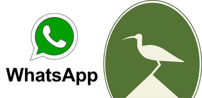 O Concello de Mazaricos apuntase ao Whatsapp