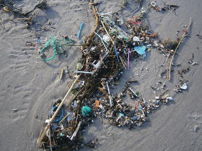 Os bastoncinos de algodon e os microplasticos contaminan os areais