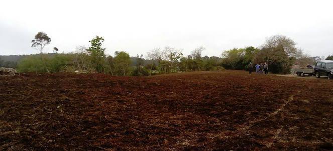 Zona do Outeiro da Carballeira onde se fara o proxecto Apadrina un carballo