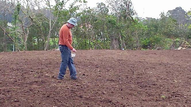 Xose Manuel Varela un dos promotores de Cerqueda sementando na Carballeira