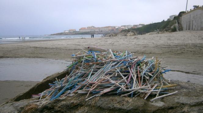 Bastoncinos recollidos por Mar de Fabula na Praia de Caion