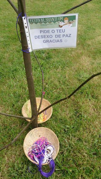 Festival de Ioga de Santa Comba 5