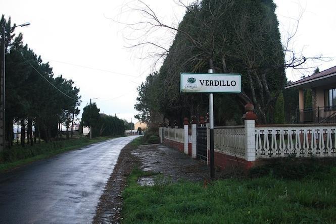 Verdillo (Berdillo). Carballo