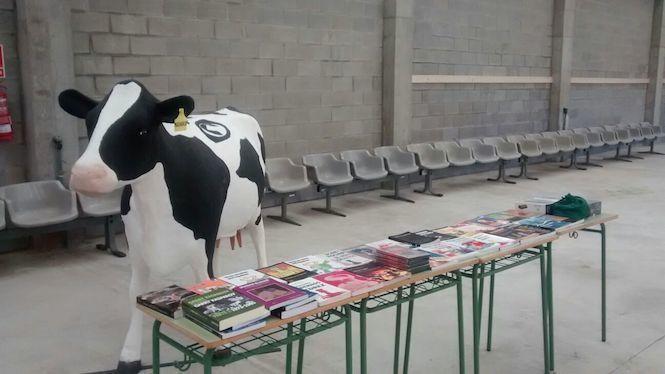 A vaca mazarica non faltou ao torneo de Xadrez